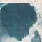 Marcel Proust - Swann ( vol. II )