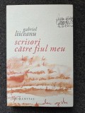 SCRISORI CATRE FIUL MEU - Gabriel Liiceanu 2008
