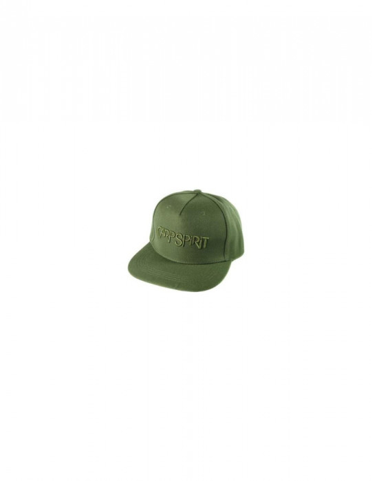 Sapca Carp Spirit Flat Peak 3D Logo Green