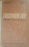 TRIGONOMETRIE. MANUAL PENTRU CLASA A X-A UMANISTICA - POPESCU GHEORGHE, Clasa 10, Matematica, Manuale