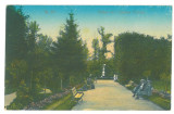 3803 - TARGU-JIU, Park, Romania - old postcard - used - 1917, Circulata, Printata