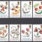 Guernsey 1995 - Timbre de felicitare, MNH