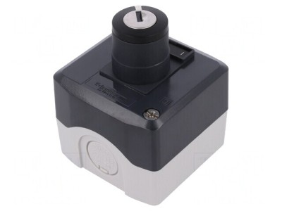 Casetă de Comandă Harmony XB5 IP66 1 Buton Plastic foto