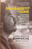 Indragostit de lume Calatoria unui calugar buddhist pe taramurile dintre viata si moarte