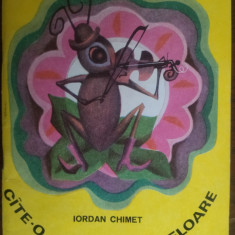 IORDAN CHIMET:CATE-O GAZA CATE-O FLOARE/VERSURI PT COPII/DESENE FL.VASILESCU1970