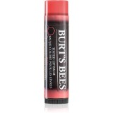 Burt&rsquo;s Bees Tinted Lip Balm balsam de buze culoare Rose 4.25 g