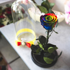 Trandafir criogenat Rainbow, 6,5 cm, in cupola de sticla de 27 cm foto