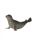 Figurina Foca Pestrita Collecta
