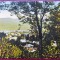 Piatra Neamt - Vedere din Parc - 1921 - printata, color, circulata la Bucuresti, 3 timbre intacte, Editura Horovitz