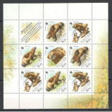 Rusia.2004 Fauna protejata:Jder-coala mica SR.81