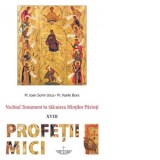 Vechiul Testament in talcuirea Sfintilor Parinti. Volumul XVIII: Profetii mici - Preot Ioan Sorin Usca, Vasile Bora