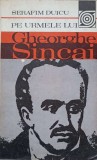 PE URMELE LUI GHEORGHE SINCAI-SERAFIM DUICU-223045