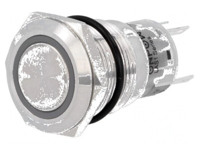 Comutator anti-vandalism Poz 2 SPDT 0,5A 220VAC 1A 24VDC foto