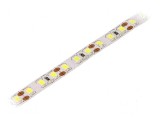 Bandă LED alb rece 2835 120 LED/m 8mm IP20 6W/m 2mm