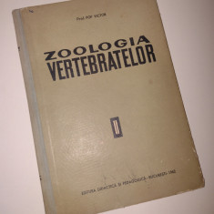 ZOOLOGIA VERTEBRATELOR - Pop Victor (volumul II - Mamiferele) - 1962