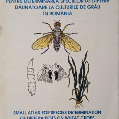 MIC ATLAS PENTRU DETERMINAREA SPECIILOR DE DIPTERE DAUNATOARE LA CULTURILE DE GRAU DIN ROMANIA-DANA MALSCHI