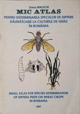 MIC ATLAS PENTRU DETERMINAREA SPECIILOR DE DIPTERE DAUNATOARE LA CULTURILE DE GRAU DIN ROMANIA-DANA MALSCHI foto