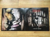 SLIPKNOT - 5: THE GRAY CHAPTER (2LP,2 Viniluri,2014,EU) vinil vinyl