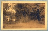 AD 292 C. P. VECHE -STE-HONORINE-SUR MER (CALVADOS) -FRANTA CIRCULATA 1935