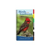 Birds of the Southwest