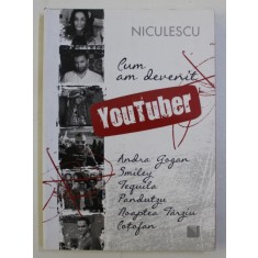 CUM AM DEVENIT YOUTUBER - POVESTE SI INTERVIURI de INA TARANU HOFNAR , 2017