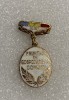 Insigna fruntaș &icirc;n gospodărirea comunei 1985