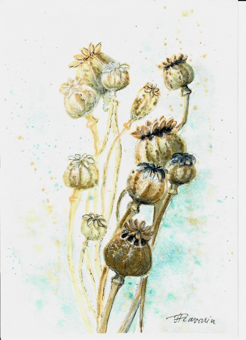 Tablou, Seminte aurii, acuarela pe hartie, neinramat, 21x29 cm