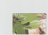 bnk card Cartele telefonice - Romania Romtelecom 2005 - Dragonfly - Col:RO-ROM-0281B