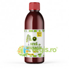 Sirop din Seva de Mesteacan 90% fara Zahar 500ml