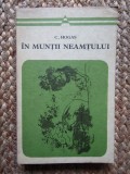 Calistrat Hogas - In muntii Neamtului