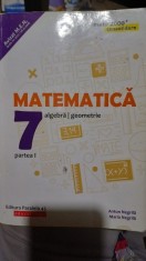 Matematica: algebra si geometrie. Clasa 7. Partea I - Anton Negrila, Maria Negrila