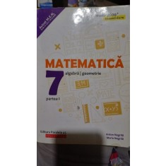 Matematica: algebra si geometrie. Clasa 7. Partea I - Anton Negrila, Maria Negrila