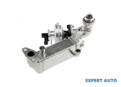 Radiator recirculare gaze BMW Seria 3 (2005-&amp;gt;) [E90] #1 foto