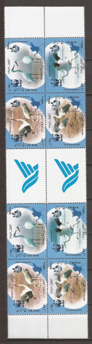 IRAN 2007 FAUNA PASARI ( serie dantelata x 2) MNH