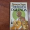 Intalnire-n oglinda de George Sovu