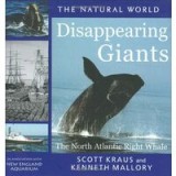 Disappearing Giants