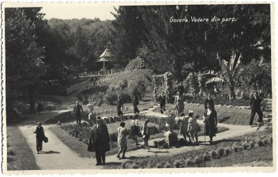 CP704N Govora, Vedere din parc, carte poștală foto