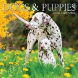 Dogs &amp; Puppies - 2024 Square Wall Calendar