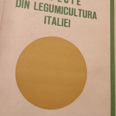 B. MANESCU-ASPECTE DIN LEGUMICULTURA ITALIEI