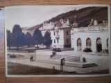 Anii 50, Carte Postala VATRA DORNEI, Cantina, RPR comunism