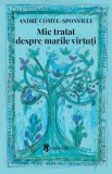 Cumpara ieftin Mic tratat despre marile virtuti