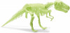 Schelet T-Rex reflectorizant PlayLearn Toys, Brainstorm