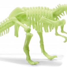 Schelet T-Rex reflectorizant PlayLearn Toys