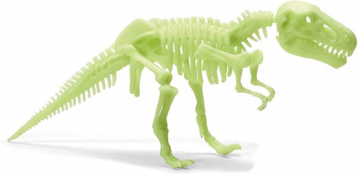 Schelet T-Rex reflectorizant PlayLearn Toys foto