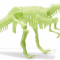 Schelet T-Rex reflectorizant PlayLearn Toys