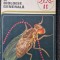 LUCRARI PRACTICE DE BIOLOGIE GENERALA - Tufescu