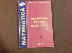 MATEMATICA MANUAL PENTRU CLASA A XII A GHEORGHE ANDREI/MARCEL TENA