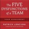 The Five Dysfunctions of a Team: Team Assessment