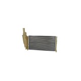 Radiator Apa Fiat Punto Van 176L Denso Drm09096