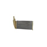 Radiator apa FIAT PUNTO 176 TYC 709-0005